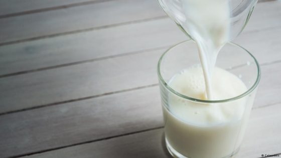 Why organic milk is healthier
