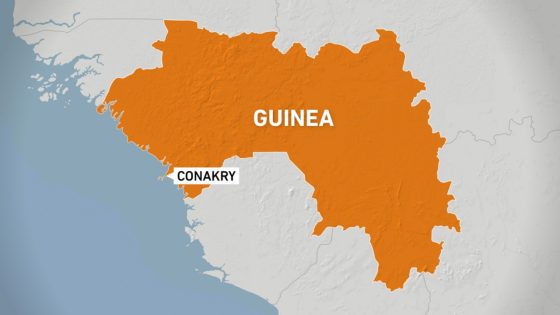Guinea govt: At least 18 people were killed in gold mine collapse
