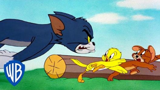 Tom & Jerry | Top 10 Classic Chase Scenes | Classic Cartoon