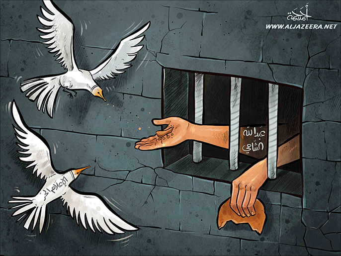 Free media